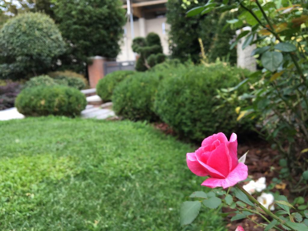 Rosa Del Grappa Bed & Breakfast Bagian luar foto